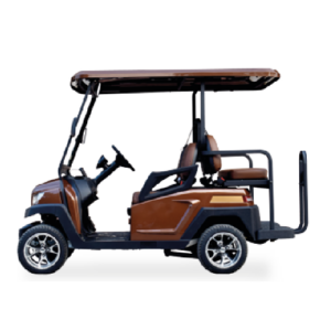 2-personen-golfcart-500x500