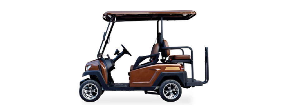 Golfcarts mit LiFePo-Akkus